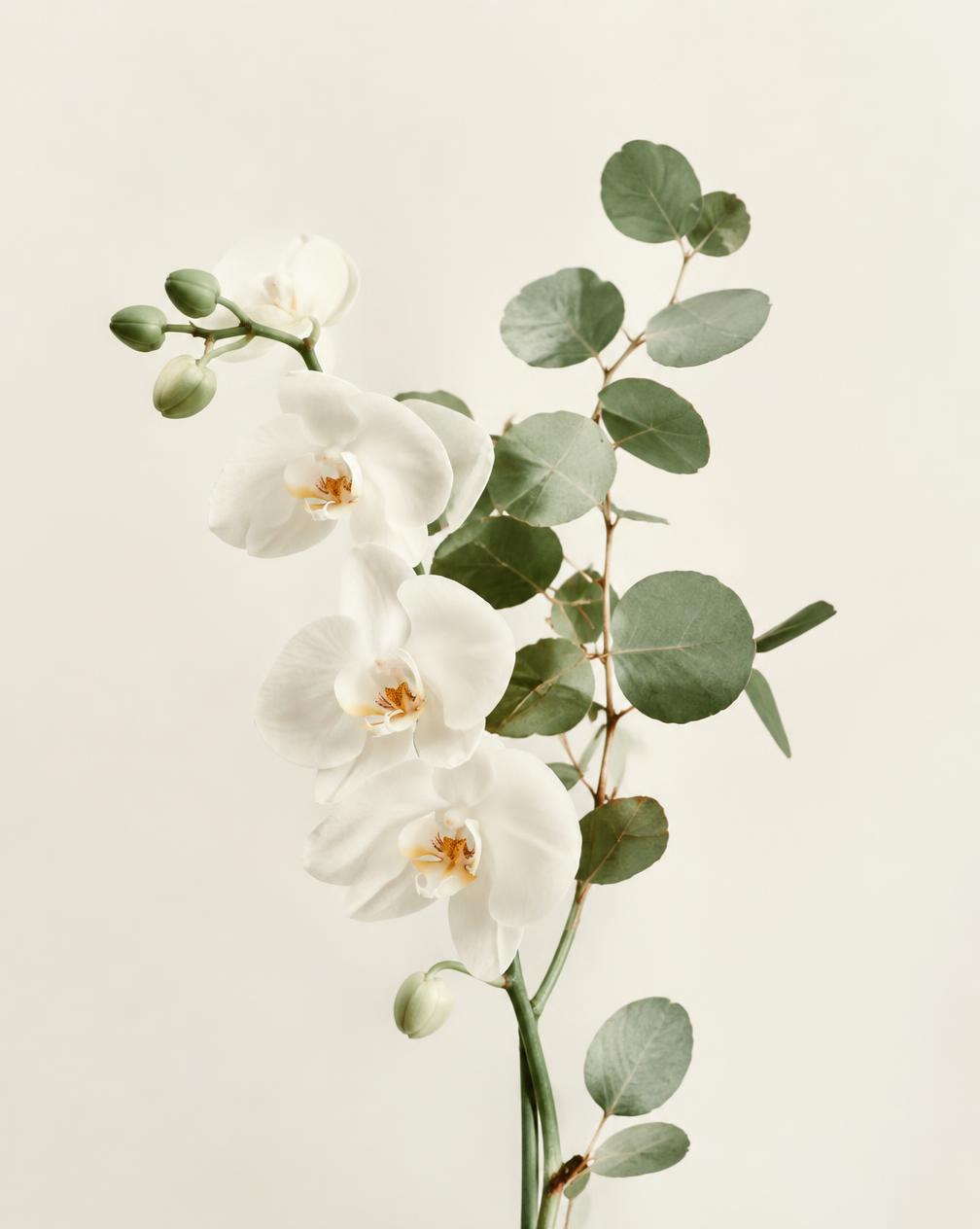 Arranjo floral delicado